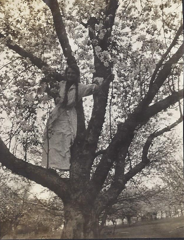 Amelia in Tree